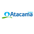 Nueva Atacama
